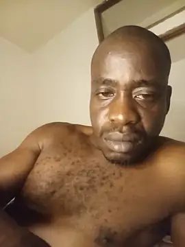 WaiterZim webcam