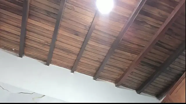 DilanAndKing webcam