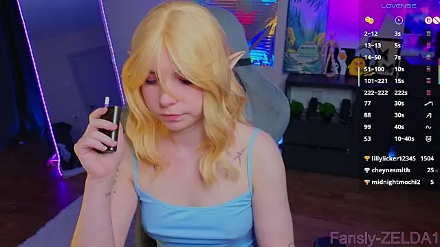 zelda_1 webcam