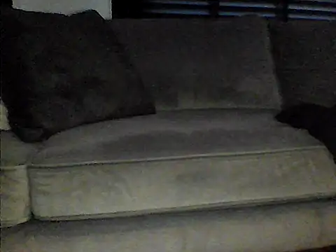 perlados webcam