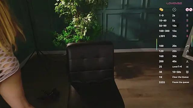 hidden_charm_ webcam