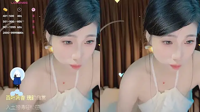 Vaidurya-Yolo webcam