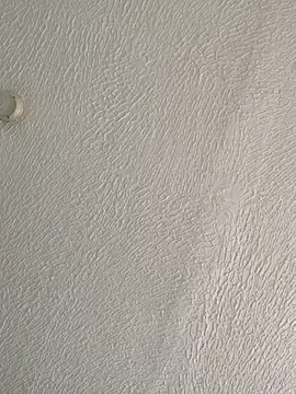 La-Gatiita-trans webcam