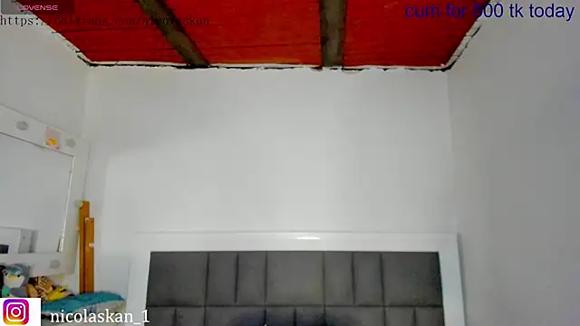 nicolaskan webcam