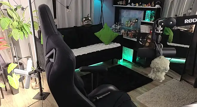 KiraLiLime webcam