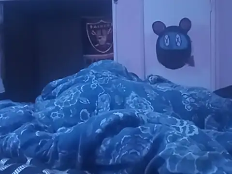 Blkstylion webcam