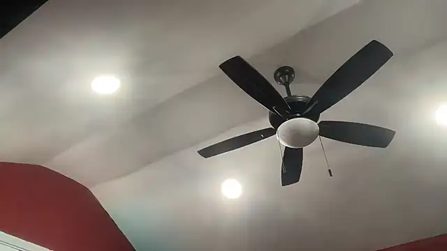 bossdj2025 webcam