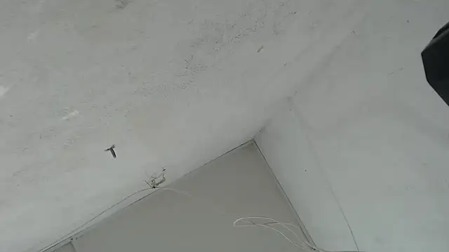 twobigscock23 webcam