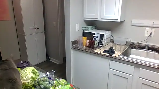 madzbailey webcam