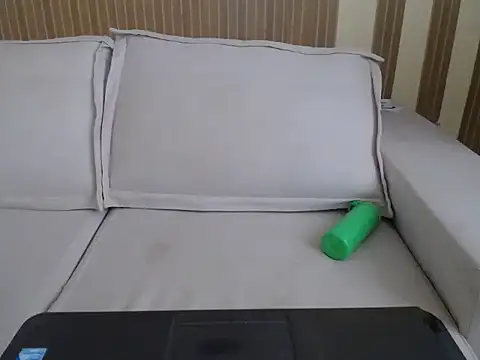 Apollo_21 webcam