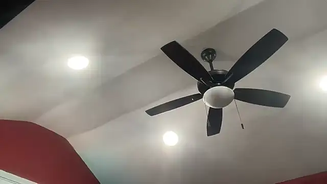 bossdj2025 webcam