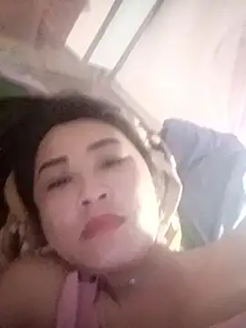 Pivi12 webcam