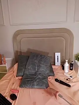 Liastarkk webcam