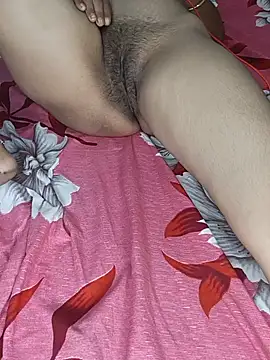 annasmodel