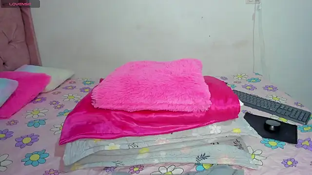 solpeich webcam