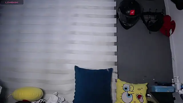 dirty_27cms webcam