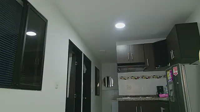 grey___27 webcam
