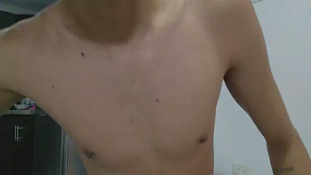 grey___27 webcam