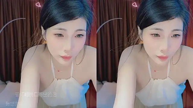 Vaidurya-Yolo webcam