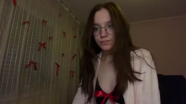 Vietero webcam