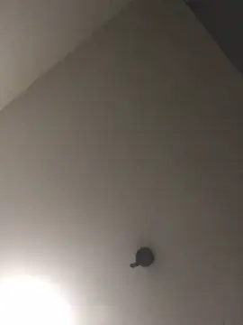 Sexyheelskev webcam