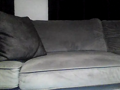 perlados webcam