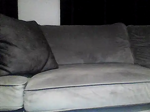 perlados webcam