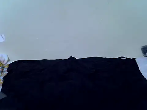 pointie_bloomy webcam