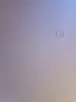 Amyhotmilf webcam