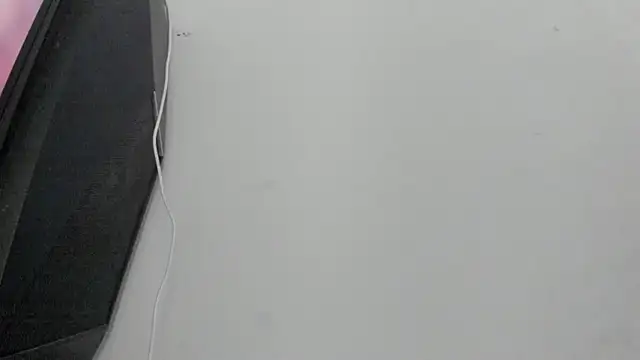 Darwin_mayo webcam