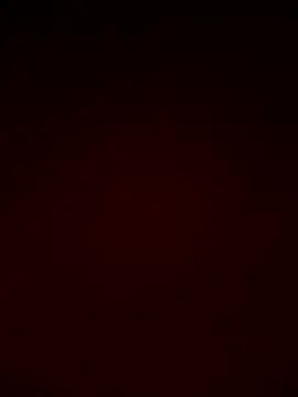 ksmani19477 webcam