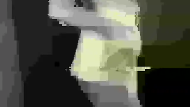pritiee webcam