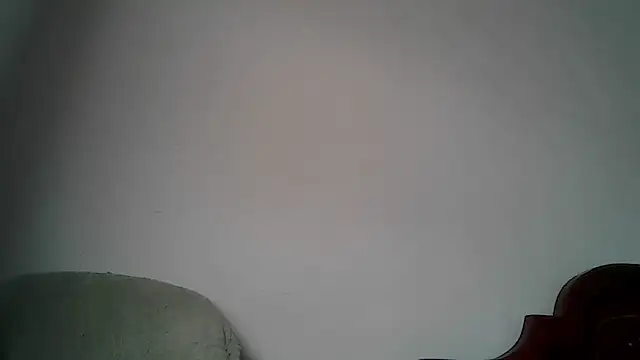 Alphadavid_23 webcam