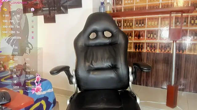 _Shirley_ webcam