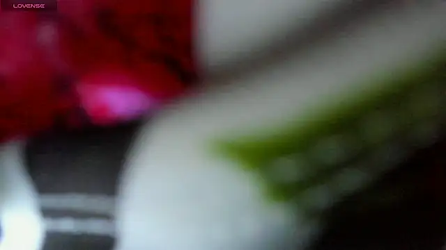 Fernanda_ss webcam