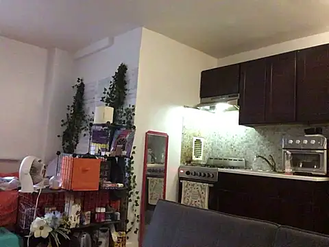 littyleesh1 webcam