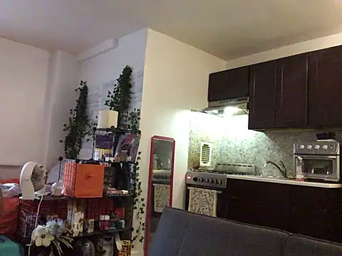 littyleesh1 webcam