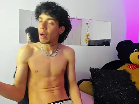 Ryder-Stone webcam