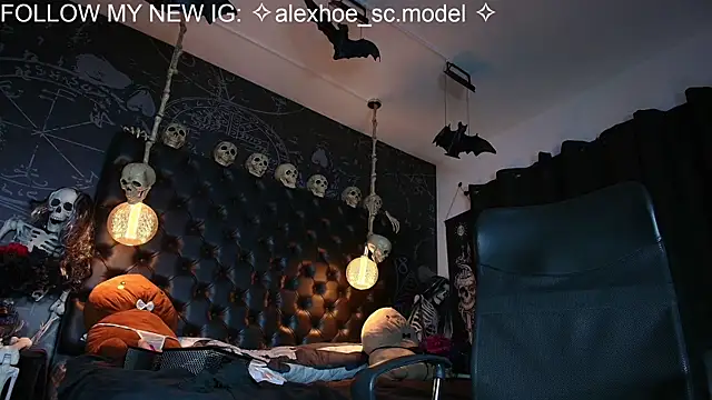 AlexHoe_ webcam