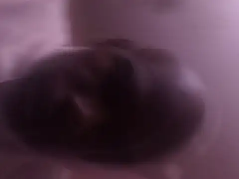 Blkstylion webcam