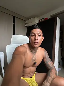 sendfer webcam
