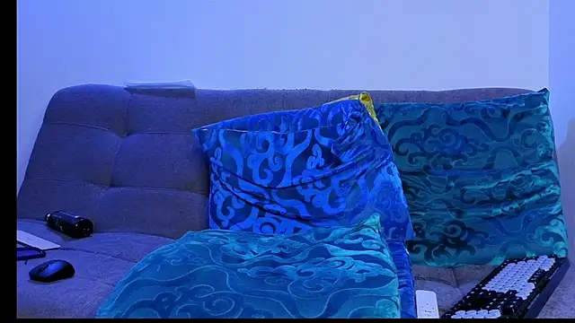 tomas_smith1 webcam