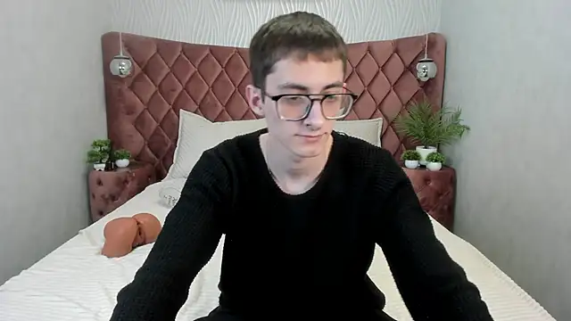 RonBevs webcam