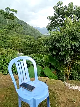 kalara_kail