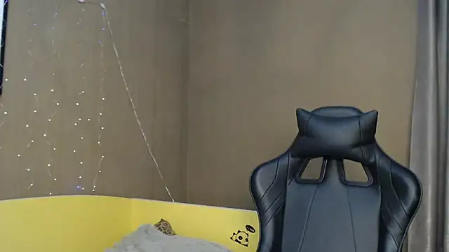 traxexe webcam