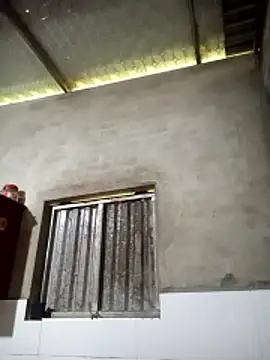 toyo_668 webcam