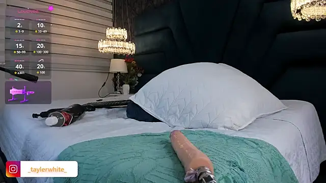 TaylerWhite webcam