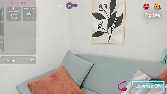 KassMonroe webcam