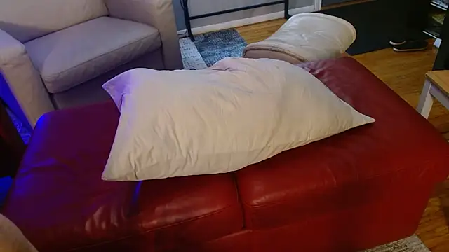 Saigecoach1 webcam