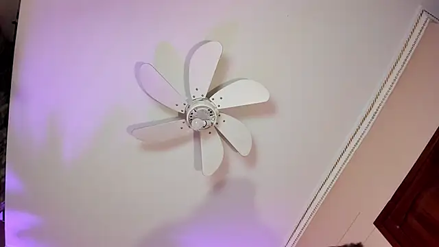 ParisGrayy webcam